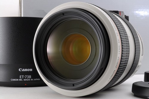 Canon 300mm 5 6l is - canon, 70-300mm
