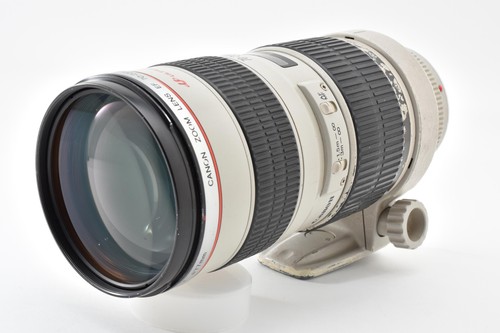 Ecc canon ef - canon,