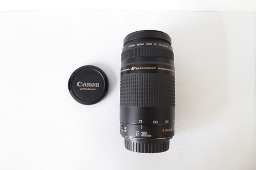 Canon 300mm 5 6 - canon, ef