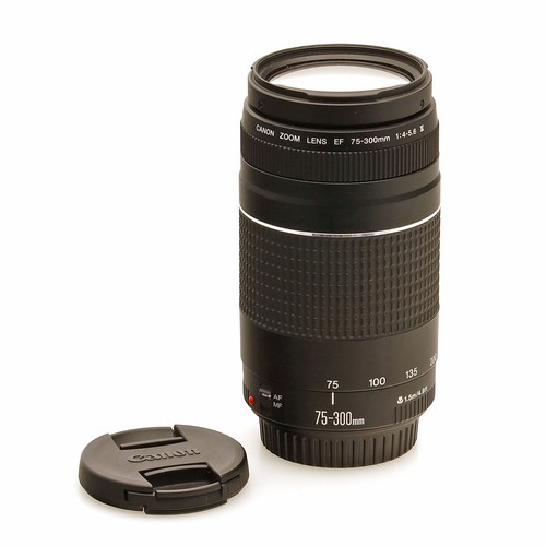 Canon obiettivo zoom 5 - canon,