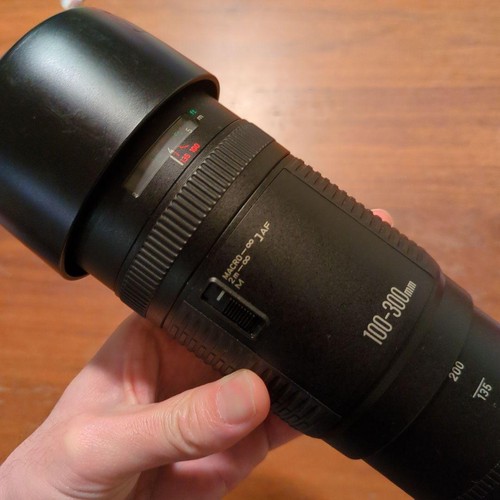 Canon 100 300 6 - 100-300, f5.6